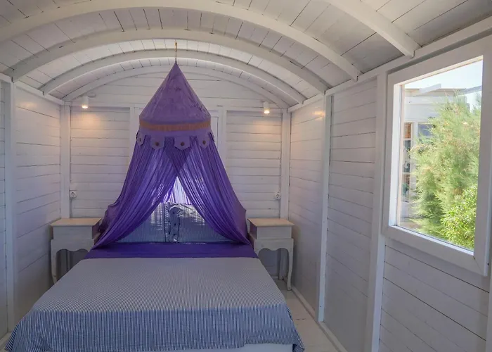 Zen Dans Le Bleu Ermupoli