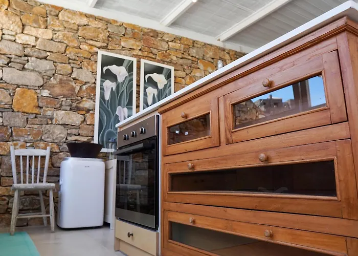 Willa Zen Dans Le Bleu Ermupoli