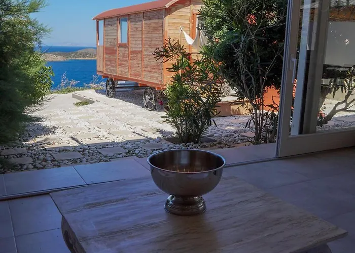 Willa Zen Dans Le Bleu *