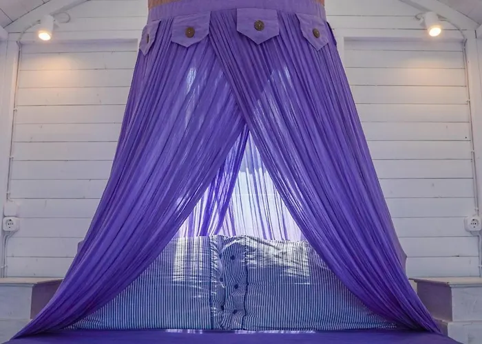 Willa Zen Dans Le Bleu