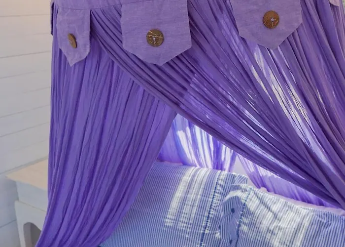 Willa Zen Dans Le Bleu