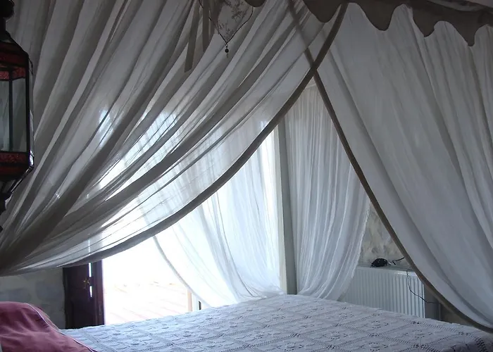 Willa Zen Dans Le Bleu *